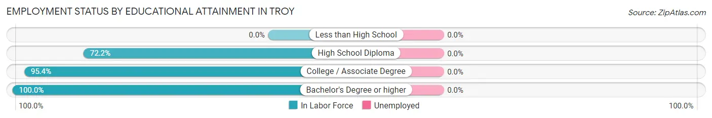 Employment Status by Educational Attainment in Troy