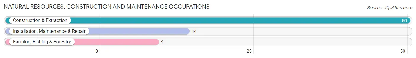 Natural Resources, Construction and Maintenance Occupations in Troy