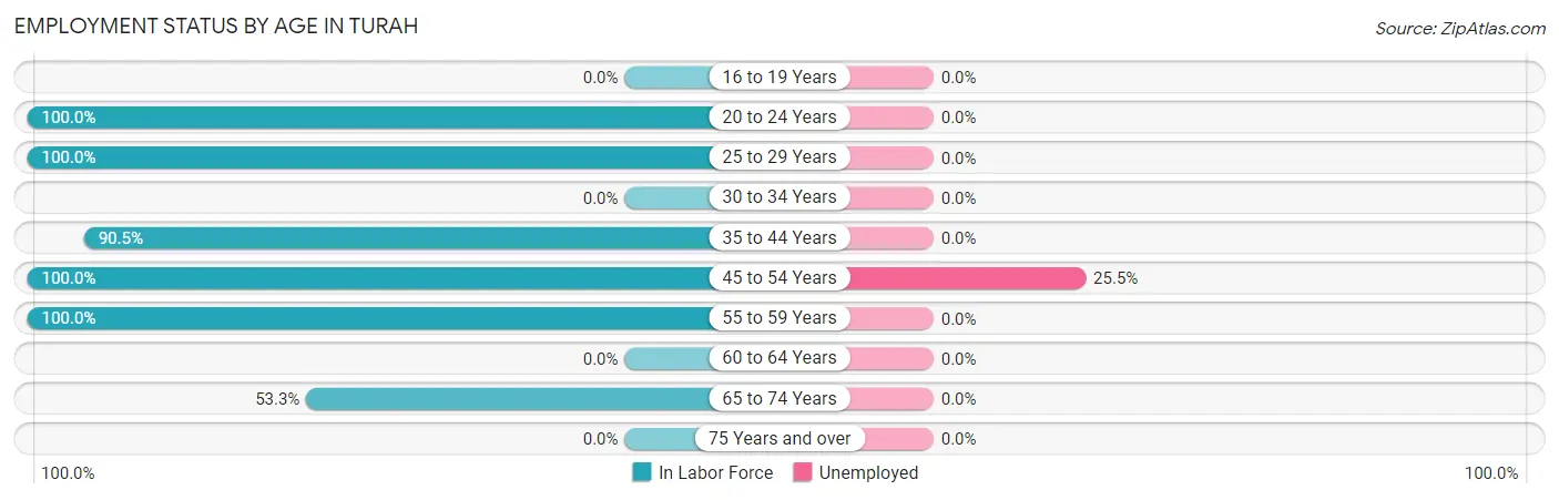 Employment Status by Age in Turah
