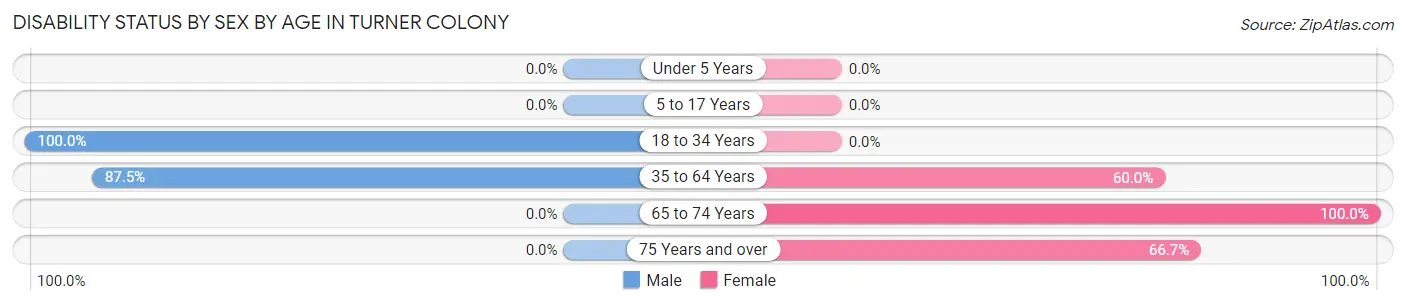 Disability Status by Sex by Age in Turner Colony