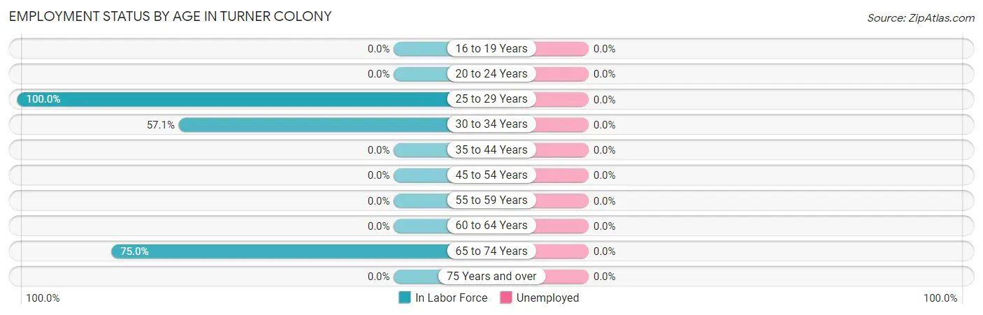 Employment Status by Age in Turner Colony