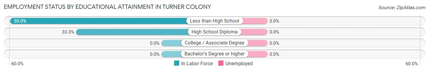Employment Status by Educational Attainment in Turner Colony