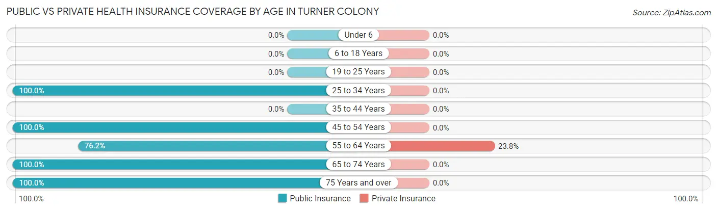 Public vs Private Health Insurance Coverage by Age in Turner Colony