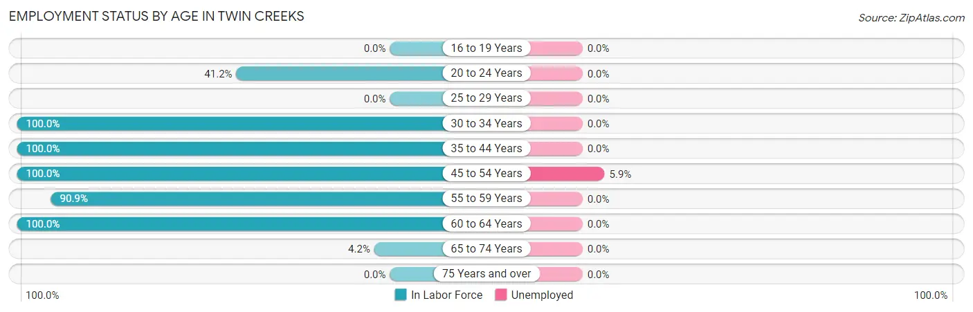 Employment Status by Age in Twin Creeks