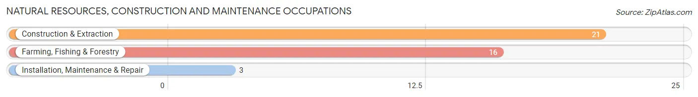 Natural Resources, Construction and Maintenance Occupations in Valier