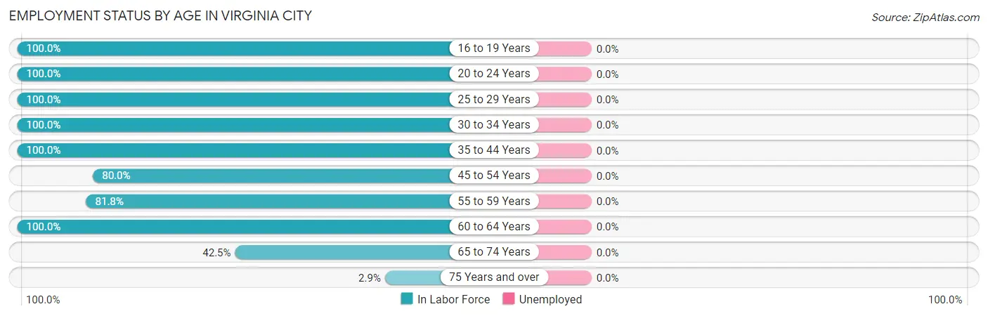 Employment Status by Age in Virginia City