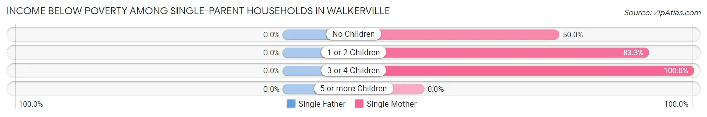 Income Below Poverty Among Single-Parent Households in Walkerville