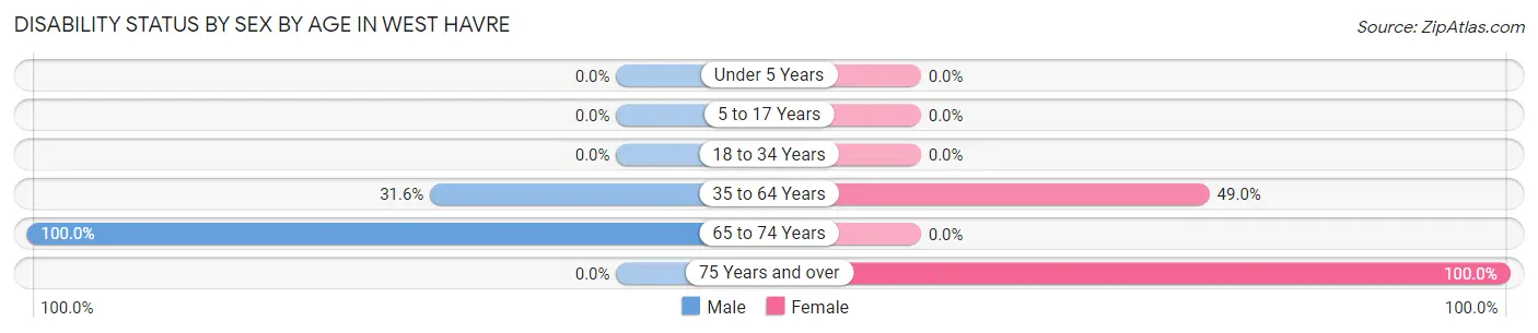 Disability Status by Sex by Age in West Havre