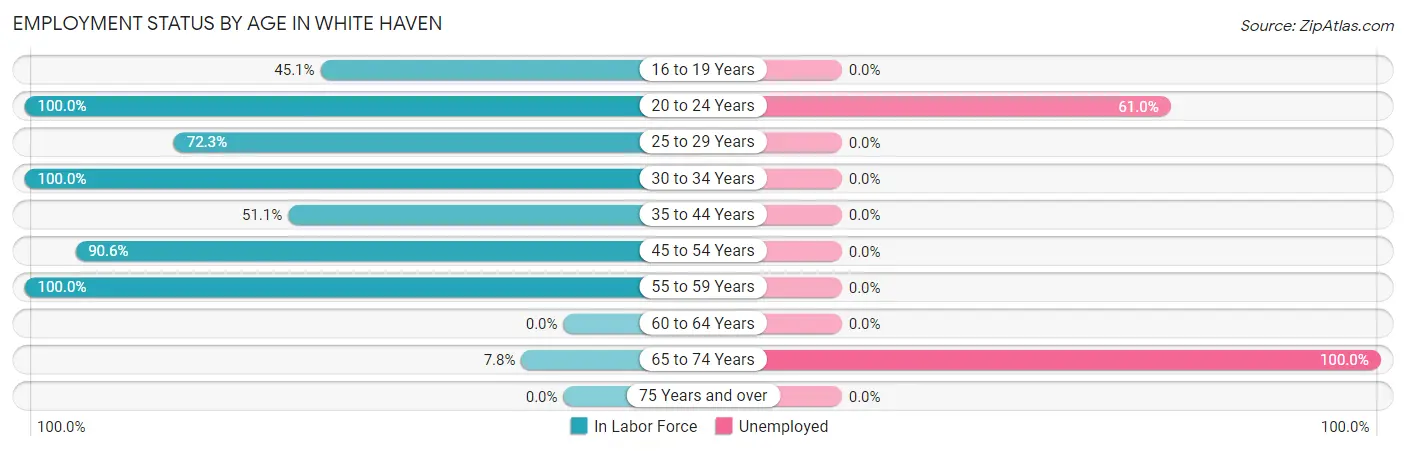 Employment Status by Age in White Haven