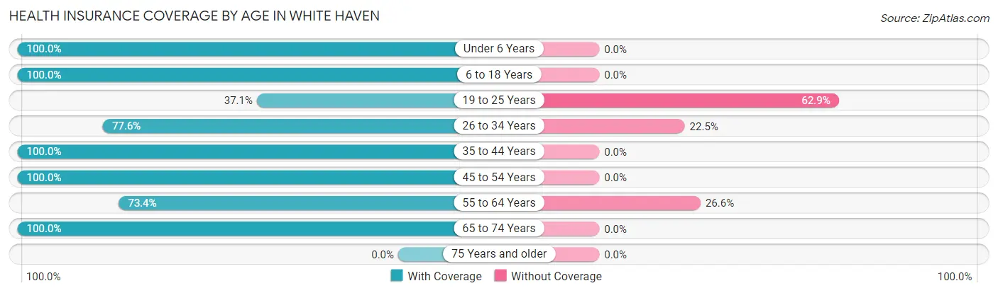 Health Insurance Coverage by Age in White Haven