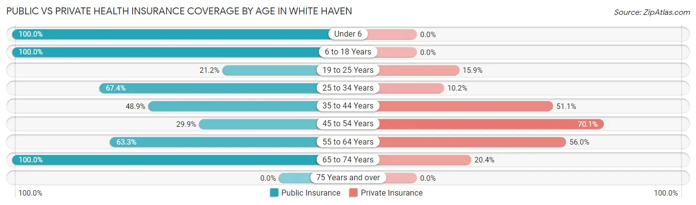 Public vs Private Health Insurance Coverage by Age in White Haven