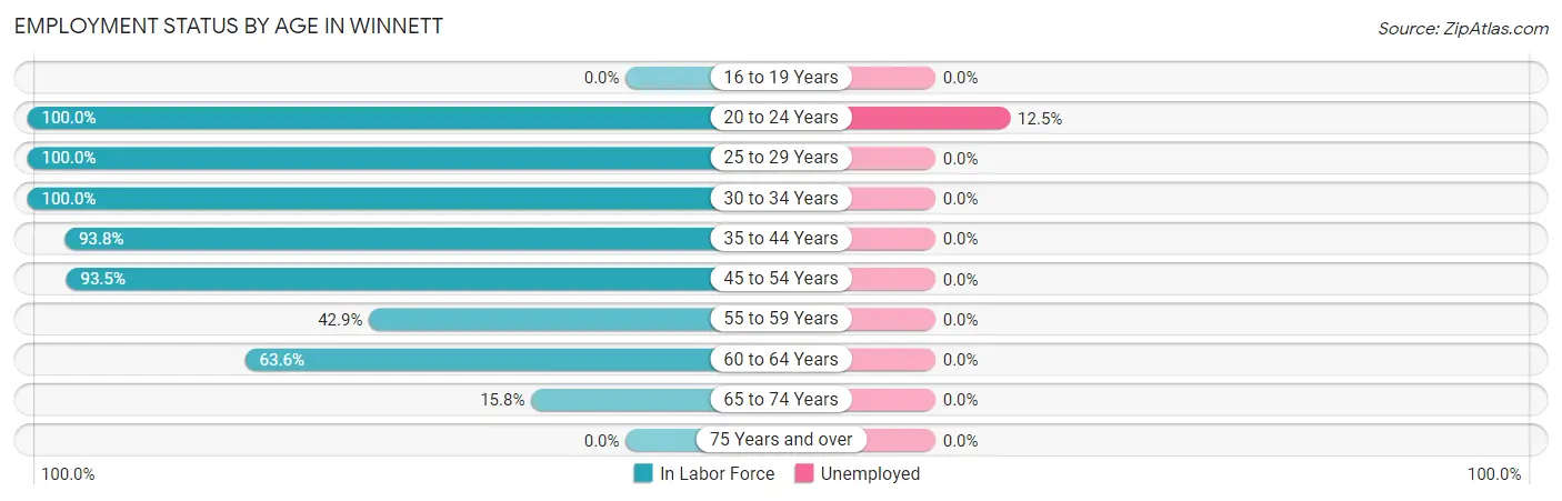 Employment Status by Age in Winnett