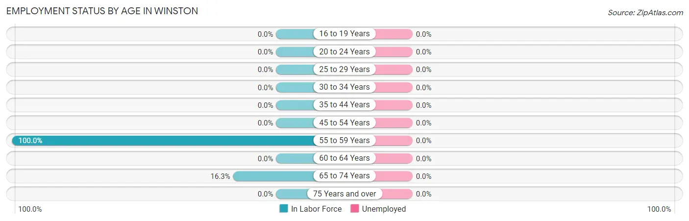 Employment Status by Age in Winston