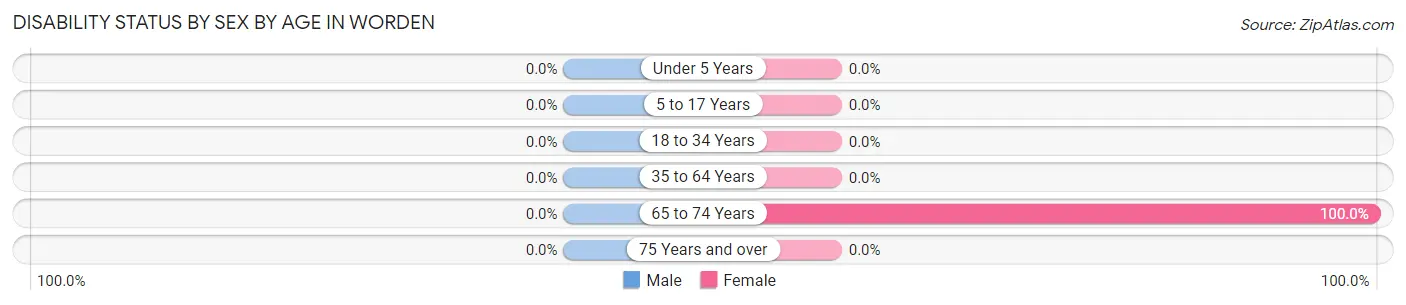 Disability Status by Sex by Age in Worden