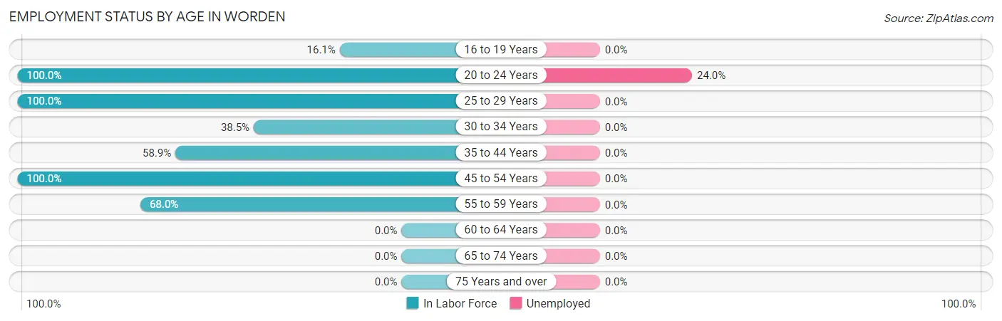 Employment Status by Age in Worden