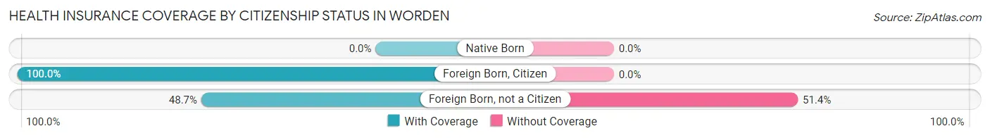 Health Insurance Coverage by Citizenship Status in Worden
