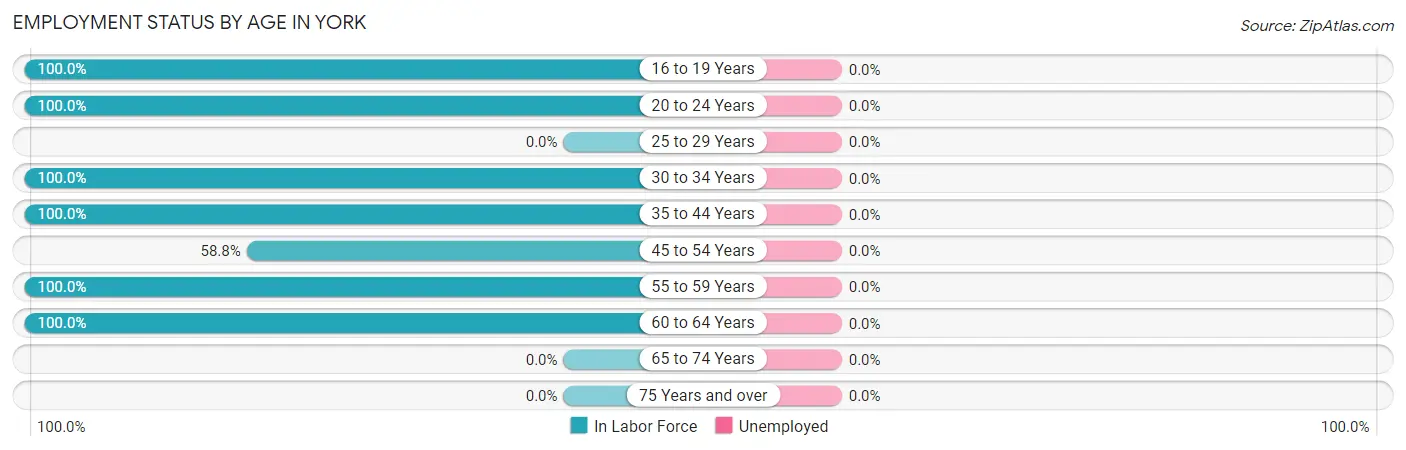 Employment Status by Age in York