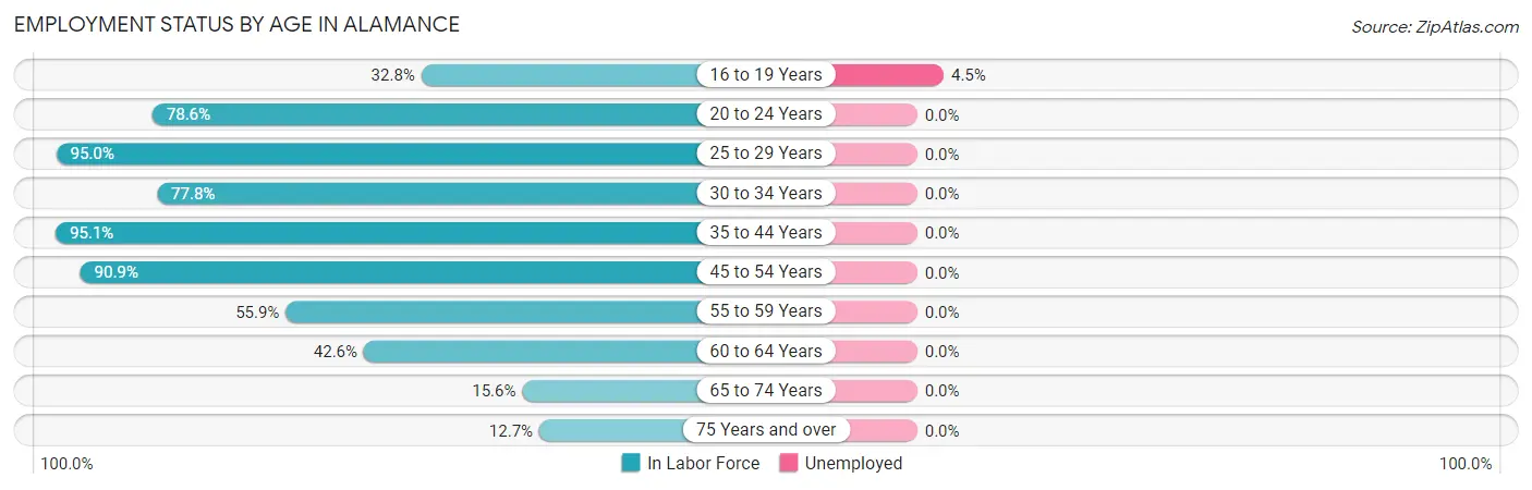 Employment Status by Age in Alamance