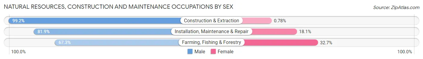 Natural Resources, Construction and Maintenance Occupations by Sex in Anderson Creek