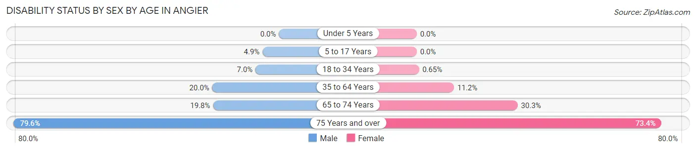 Disability Status by Sex by Age in Angier
