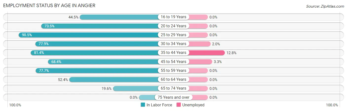 Employment Status by Age in Angier