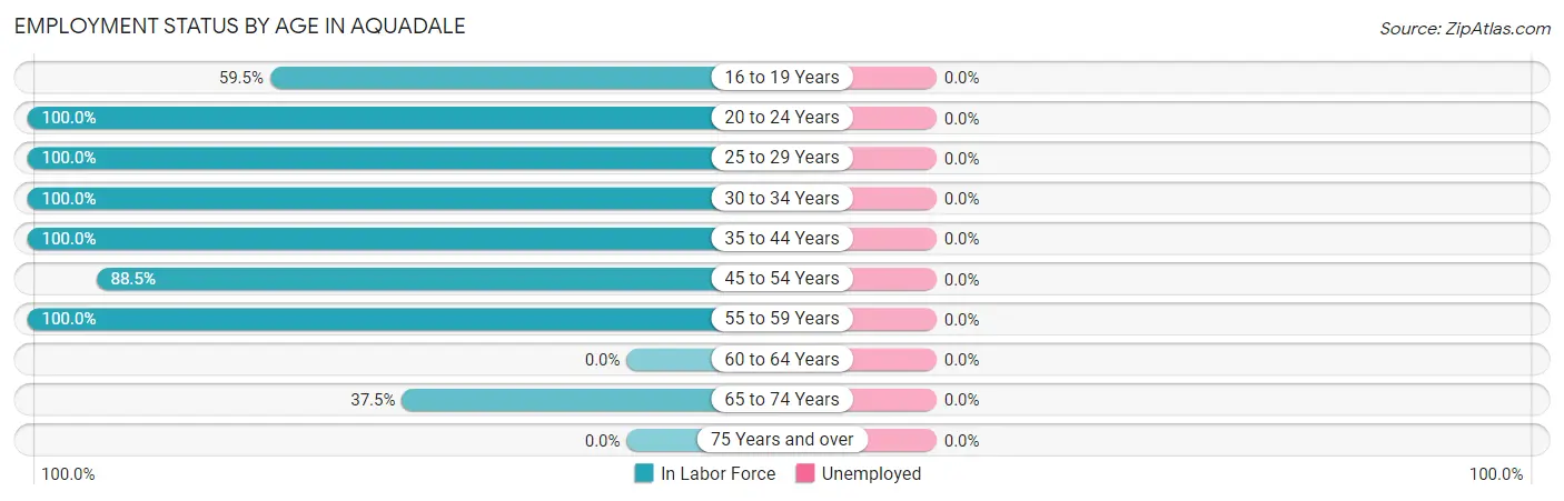 Employment Status by Age in Aquadale