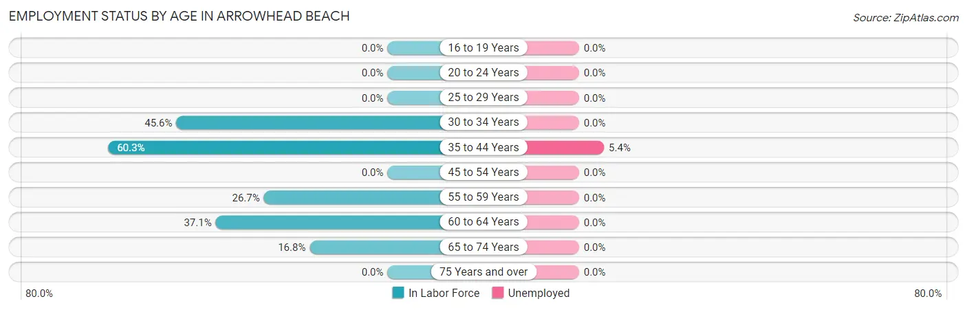 Employment Status by Age in Arrowhead Beach