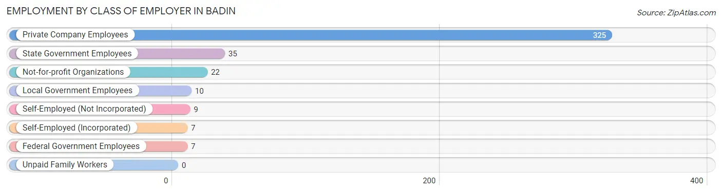 Employment by Class of Employer in Badin