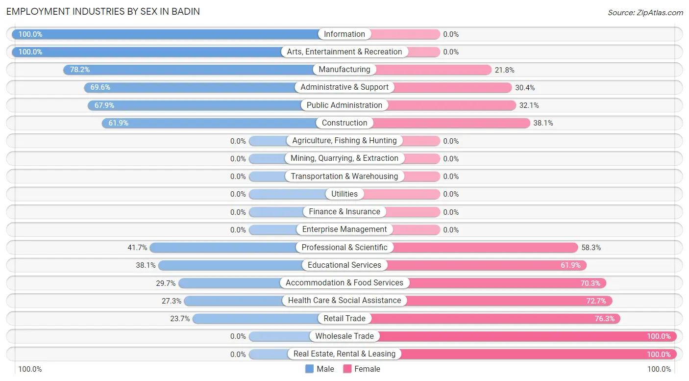 Employment Industries by Sex in Badin