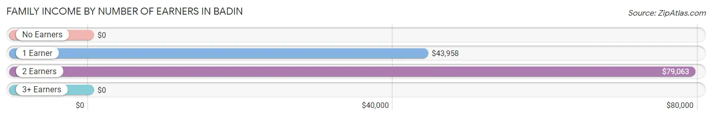 Family Income by Number of Earners in Badin