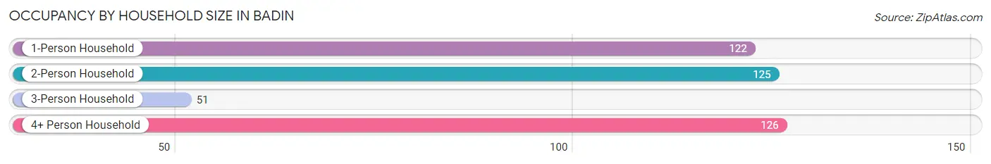 Occupancy by Household Size in Badin