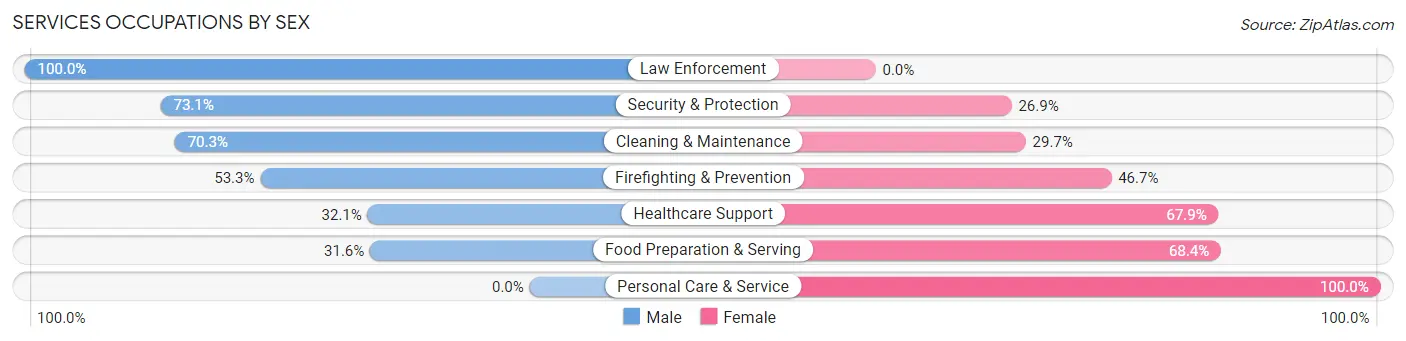 Services Occupations by Sex in Badin