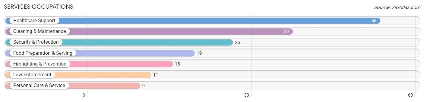 Services Occupations in Badin