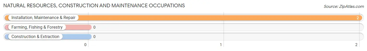 Natural Resources, Construction and Maintenance Occupations in Bear Grass