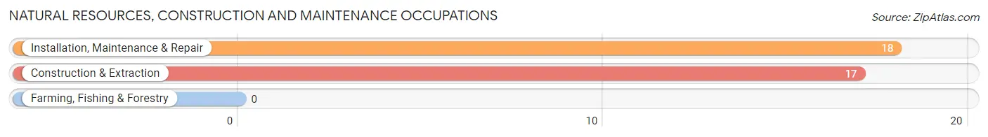 Natural Resources, Construction and Maintenance Occupations in Beech Mountain