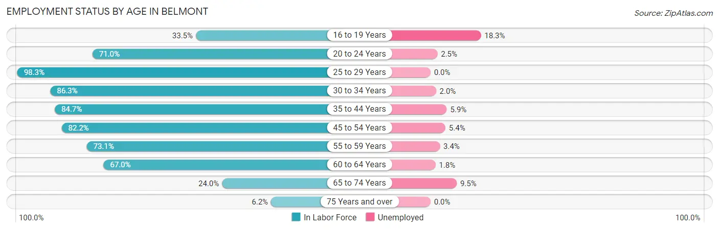Employment Status by Age in Belmont