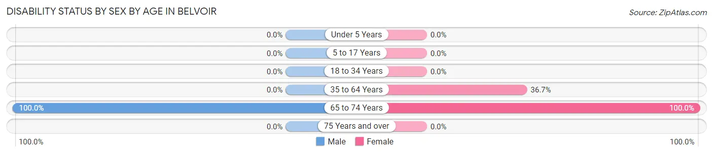 Disability Status by Sex by Age in Belvoir