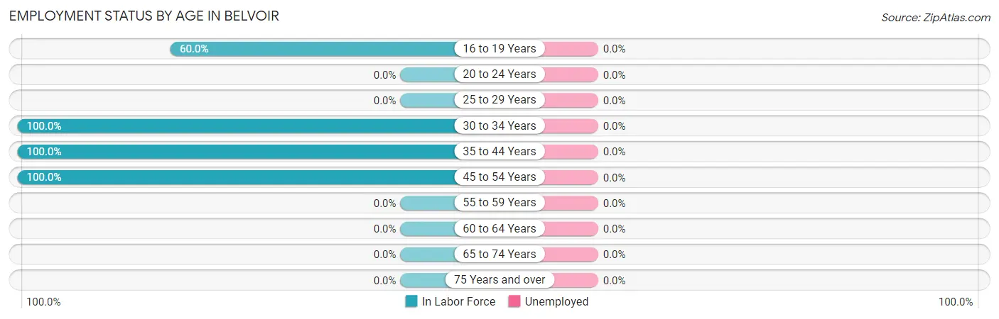 Employment Status by Age in Belvoir