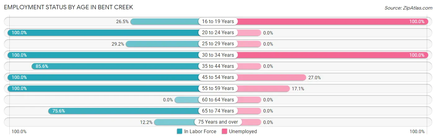 Employment Status by Age in Bent Creek