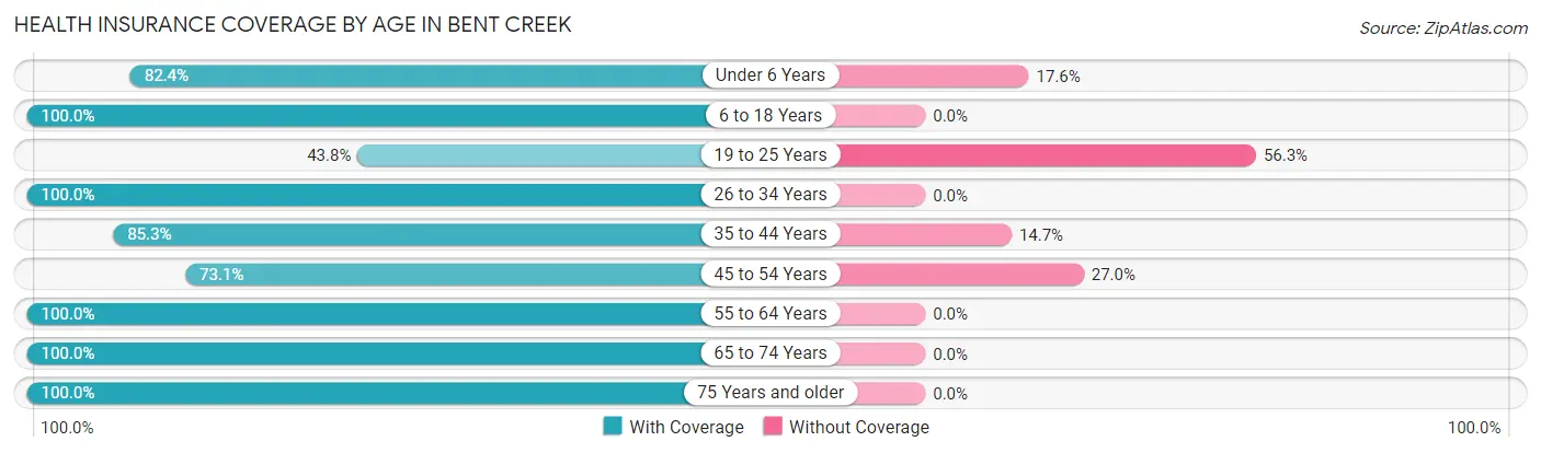 Health Insurance Coverage by Age in Bent Creek