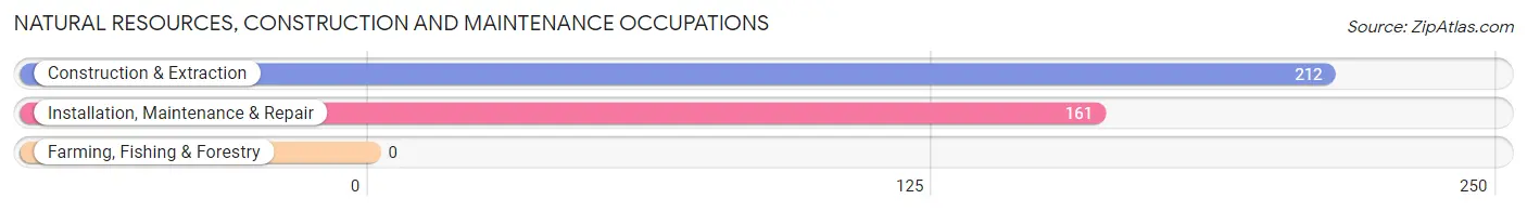 Natural Resources, Construction and Maintenance Occupations in Bessemer City