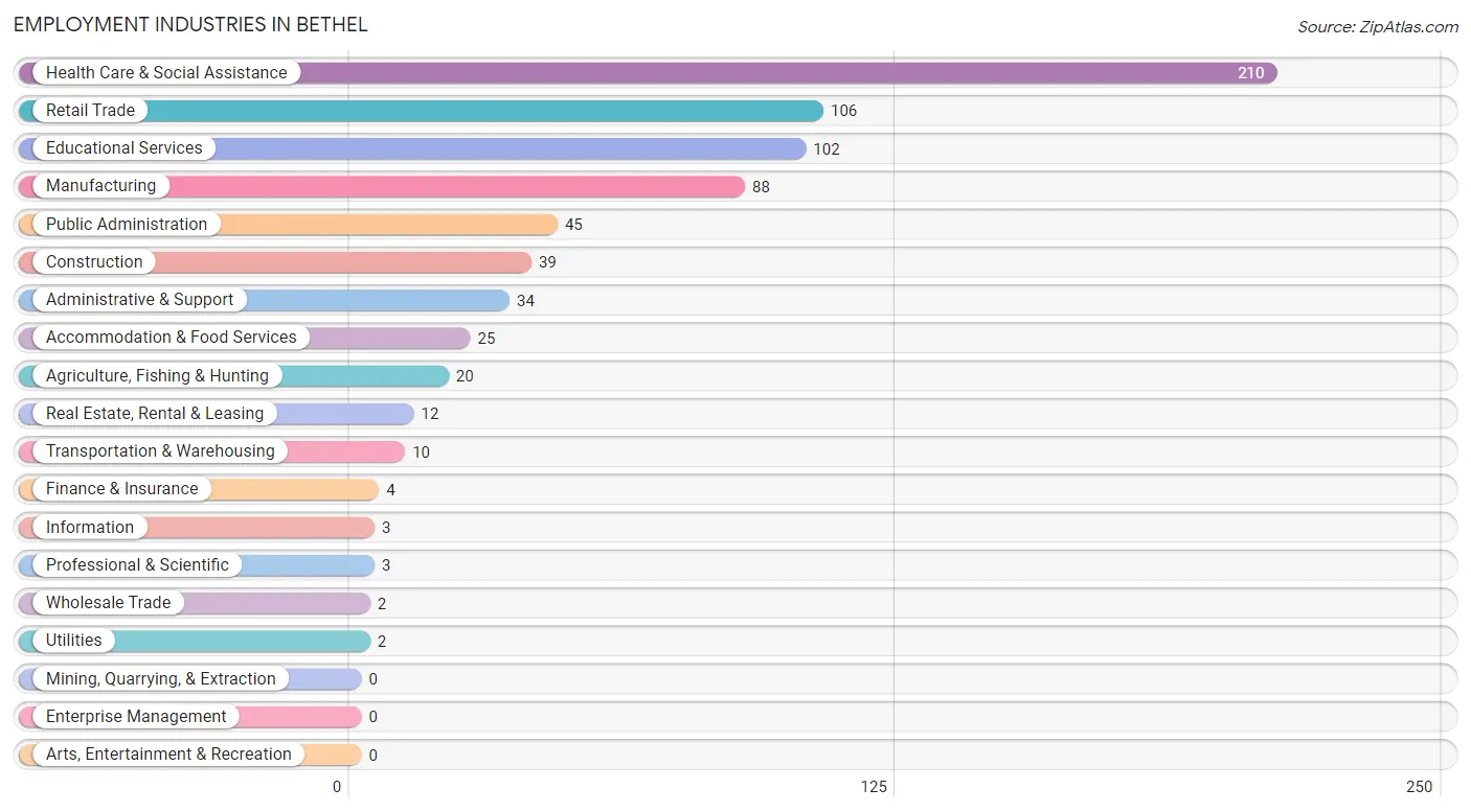 Employment Industries in Bethel
