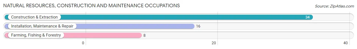 Natural Resources, Construction and Maintenance Occupations in Bethel