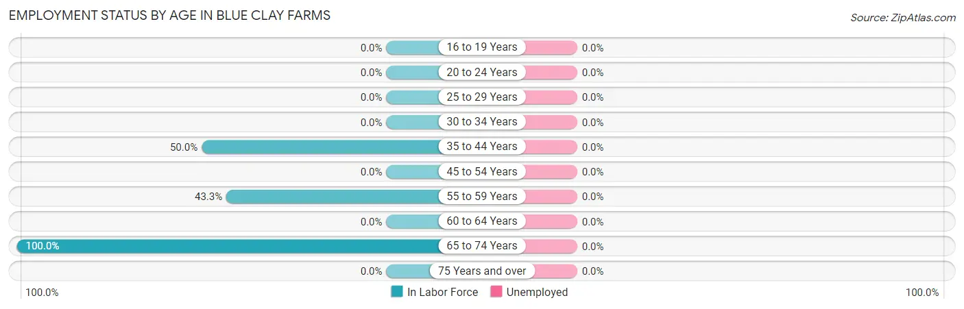 Employment Status by Age in Blue Clay Farms