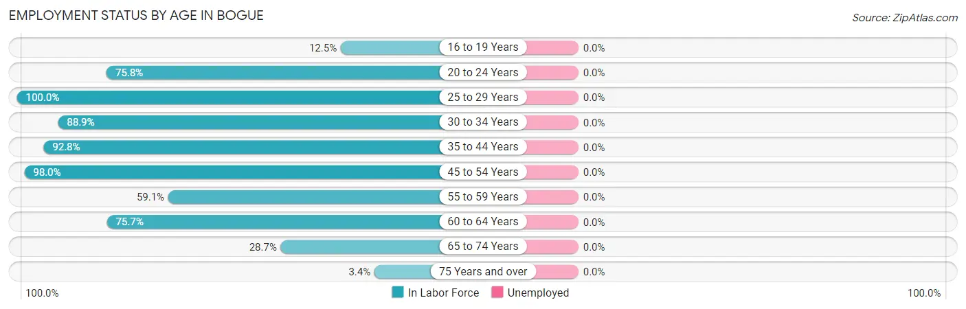 Employment Status by Age in Bogue