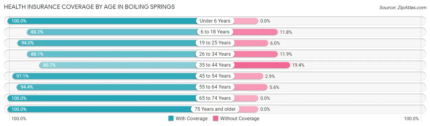 Health Insurance Coverage by Age in Boiling Springs