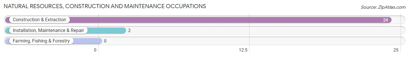 Natural Resources, Construction and Maintenance Occupations in Bolton