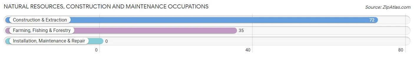 Natural Resources, Construction and Maintenance Occupations in Bonnetsville