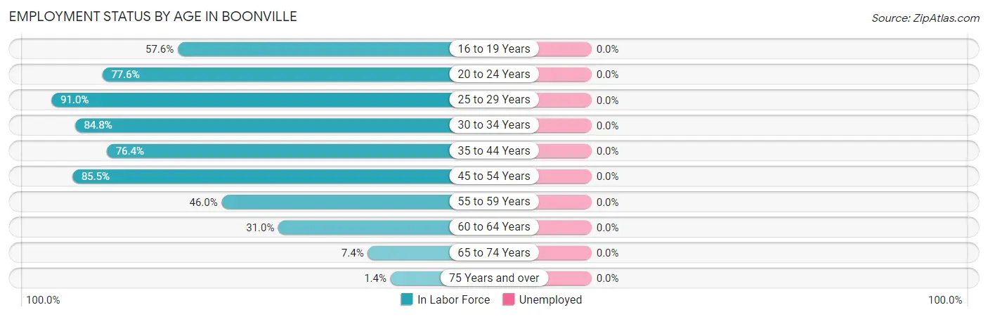 Employment Status by Age in Boonville