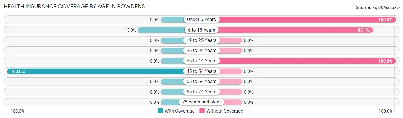 Health Insurance Coverage by Age in Bowdens